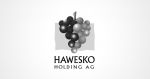 HAWESKO Holding