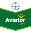 AVIATOR